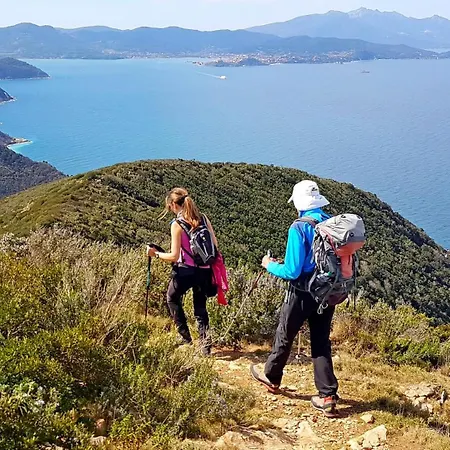 Little Italy بورتو أتْسورّو